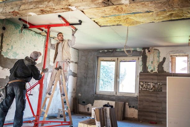 Best Cellulose Insulation  in Langley Park, MD