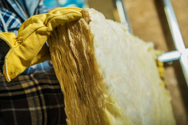 Best Residential Insulation Services  in Langley Park, MD